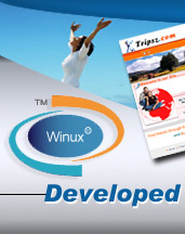 Website development and web design firm offering affordable web page design